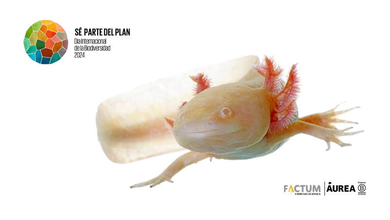 Biodiversidad: Nuestro Patrimonio, Nuestra Responsabilidad